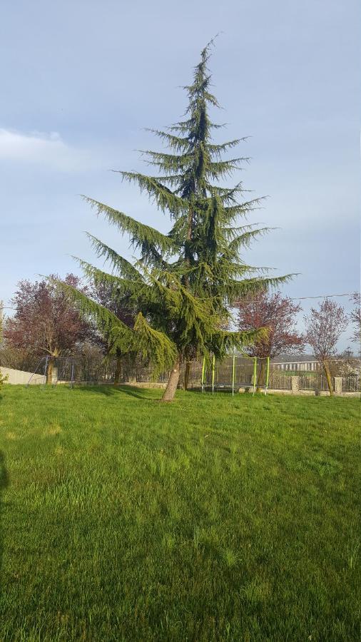 Appartamento Elena Fossano Exterior photo
